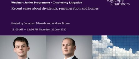 Video: Recent cases about dividends, remuneration and homes