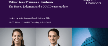 Video:  The Bresco judgment and a COVID cases update 2