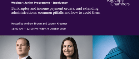 Video: Junior Programme: Insolvency - Bankruptcy and income payment orders, and extending administrations
