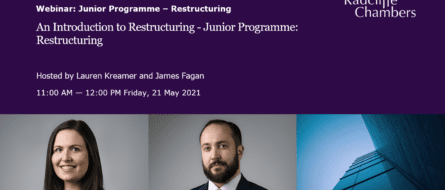 Video: An Introduction to Restructuring - Junior Programme: Restructuring