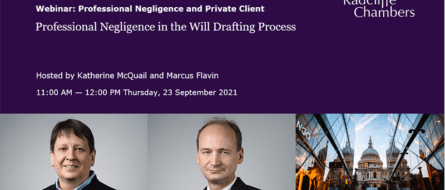 Professional Negligence in the Will Drafting Process