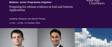'Preparing for witness evidence at trial' and 'Interim Applications' - Junior Programme: Litigation