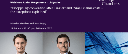 Estoppel by convention after Tinkler and Small claims costs – the exceptions explained - Junior Programme: Litigation
