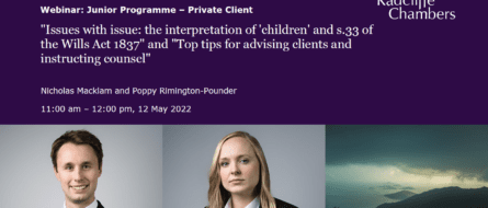Issues with issue: the interpretation of 'children' and s.33 of the Wills Act 1837 and Top tips for advising clients and instructing counsel
