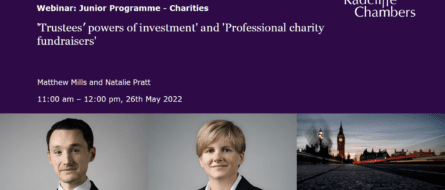 'Trustees’ powers of investment' and 'Professional charity fundraisers'